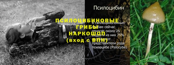 Альфа ПВП Михайловск