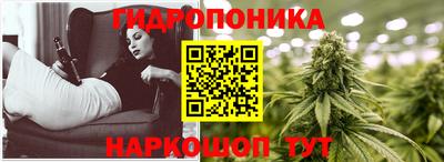 ешки Лесосибирск