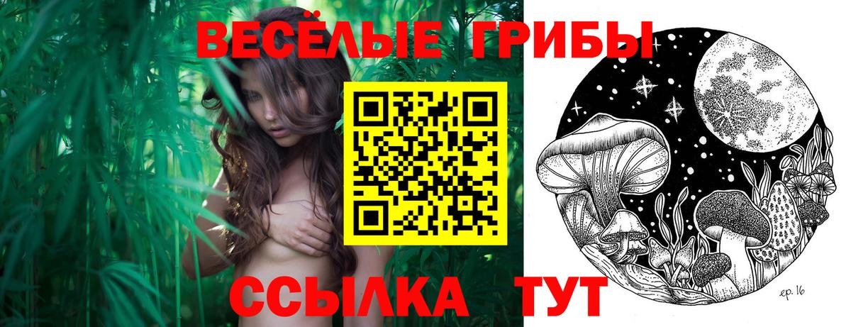Псилоцибиновые грибы прущие грибы  Псилоцибиновые грибы MAGIC MUSHROOMS  Вход с VPN  Павловский Посад 