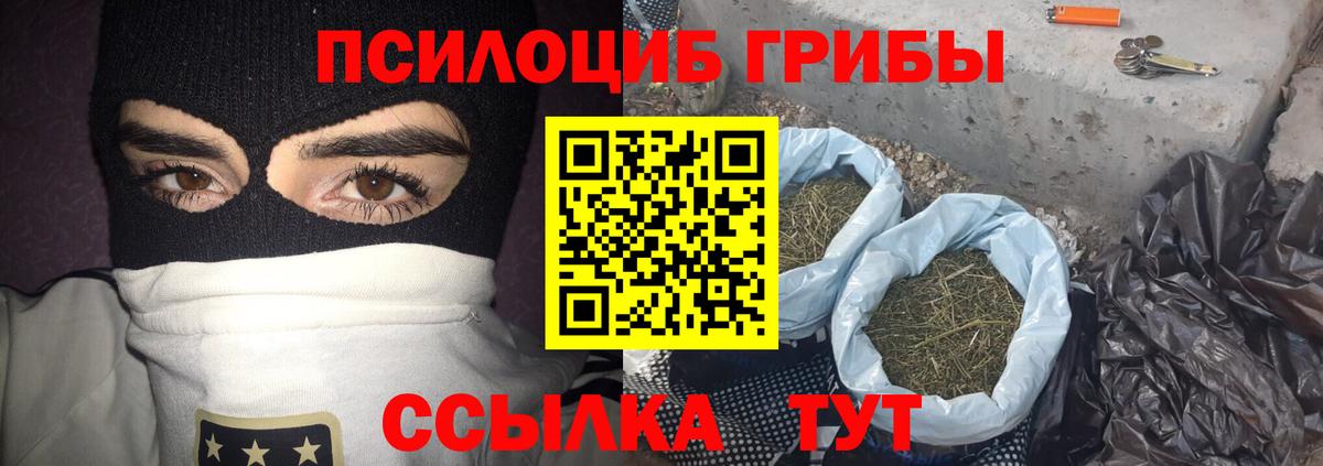 Галлюциногенные грибы прущие грибы  Галлюциногенные грибы ЛСД  Павловский Посад 